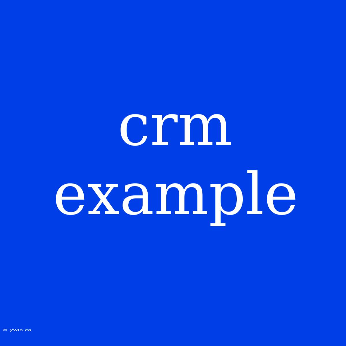 Crm Example