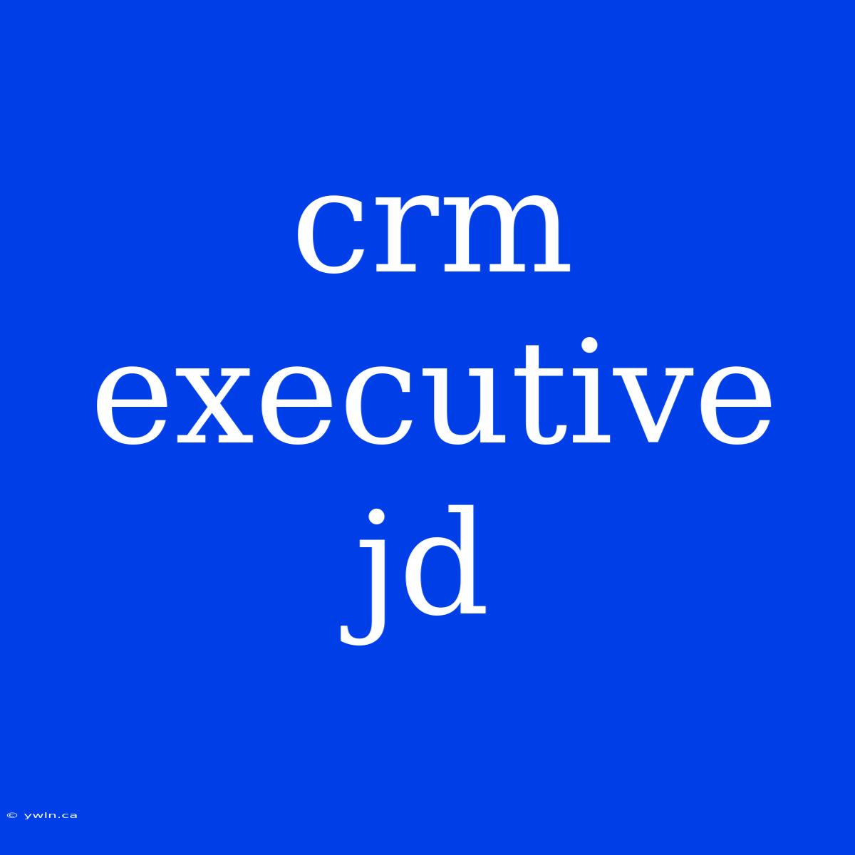 Crm Executive Jd