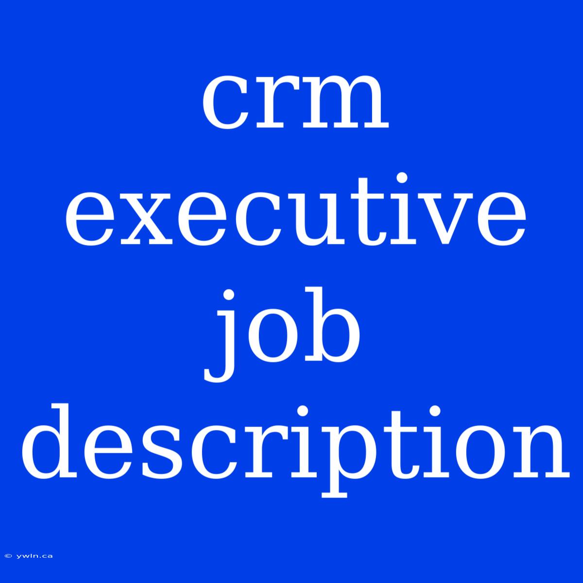 Crm Executive Job Description