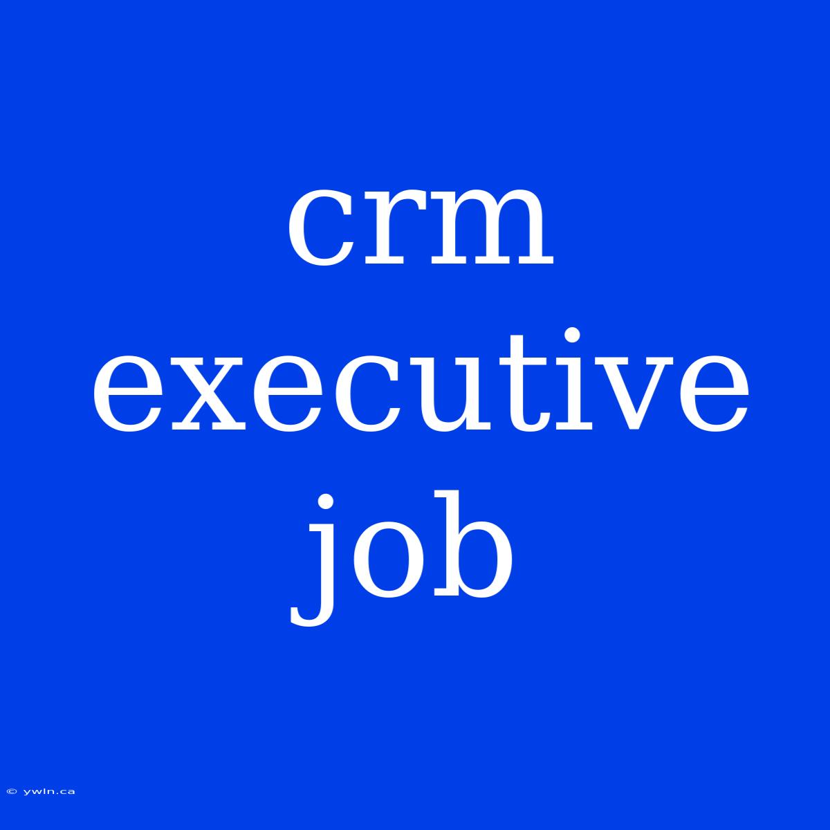 Crm Executive Job