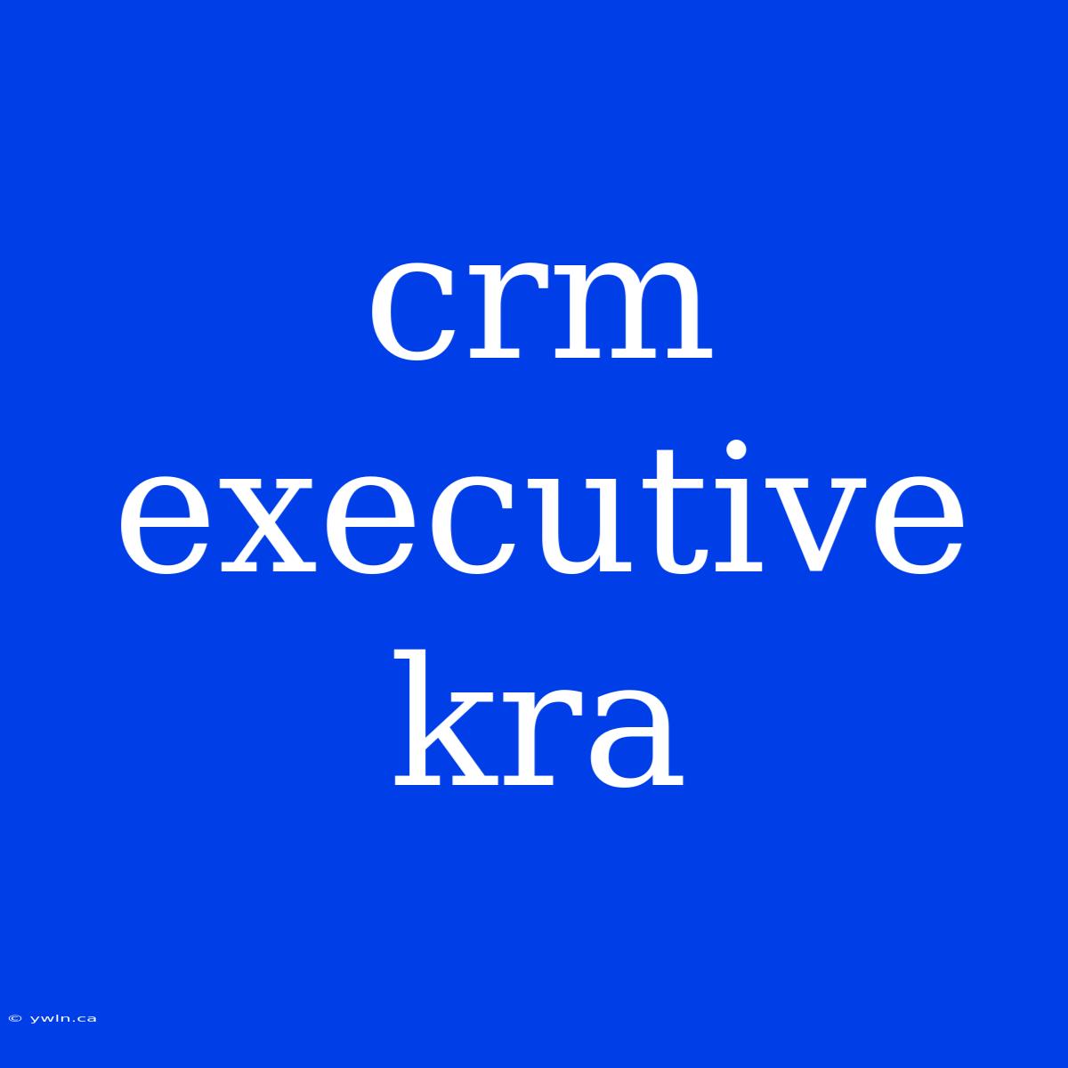 Crm Executive Kra