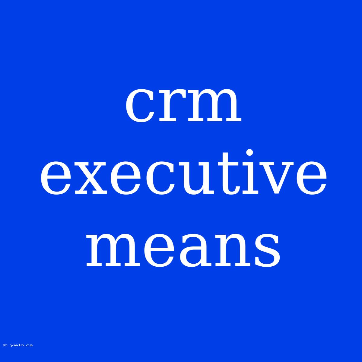 Crm Executive Means