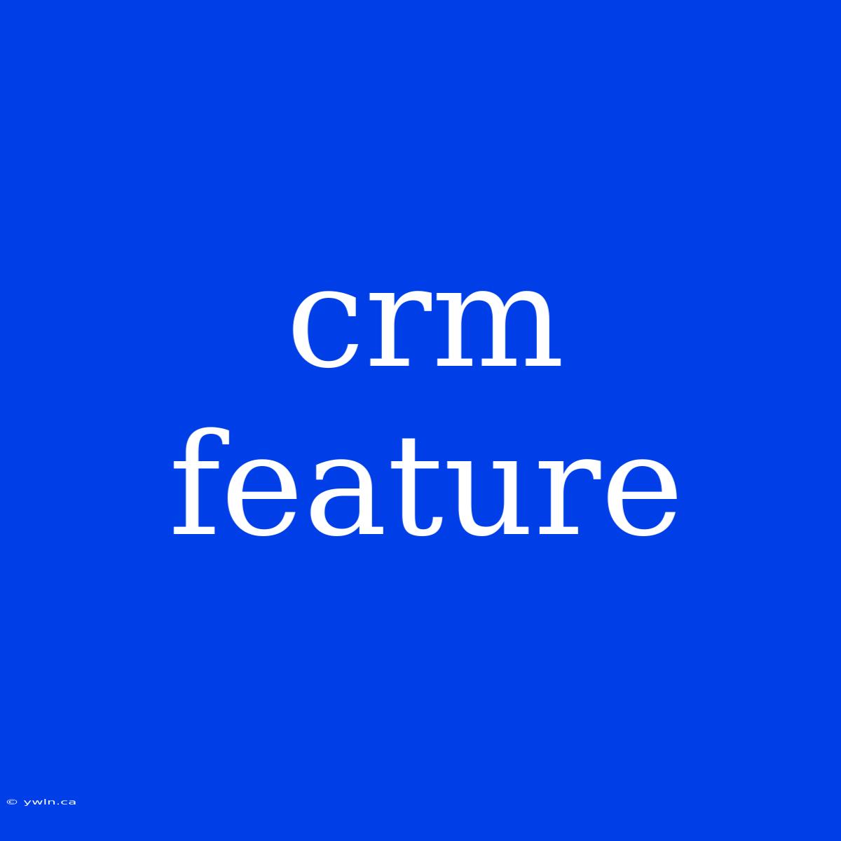 Crm Feature