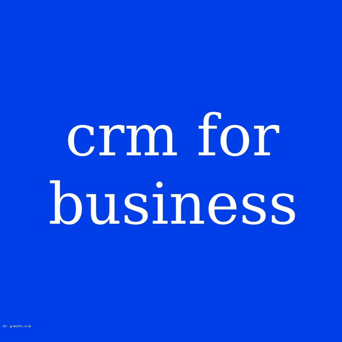 Crm For Business