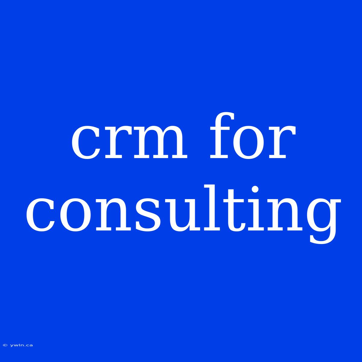 Crm For Consulting