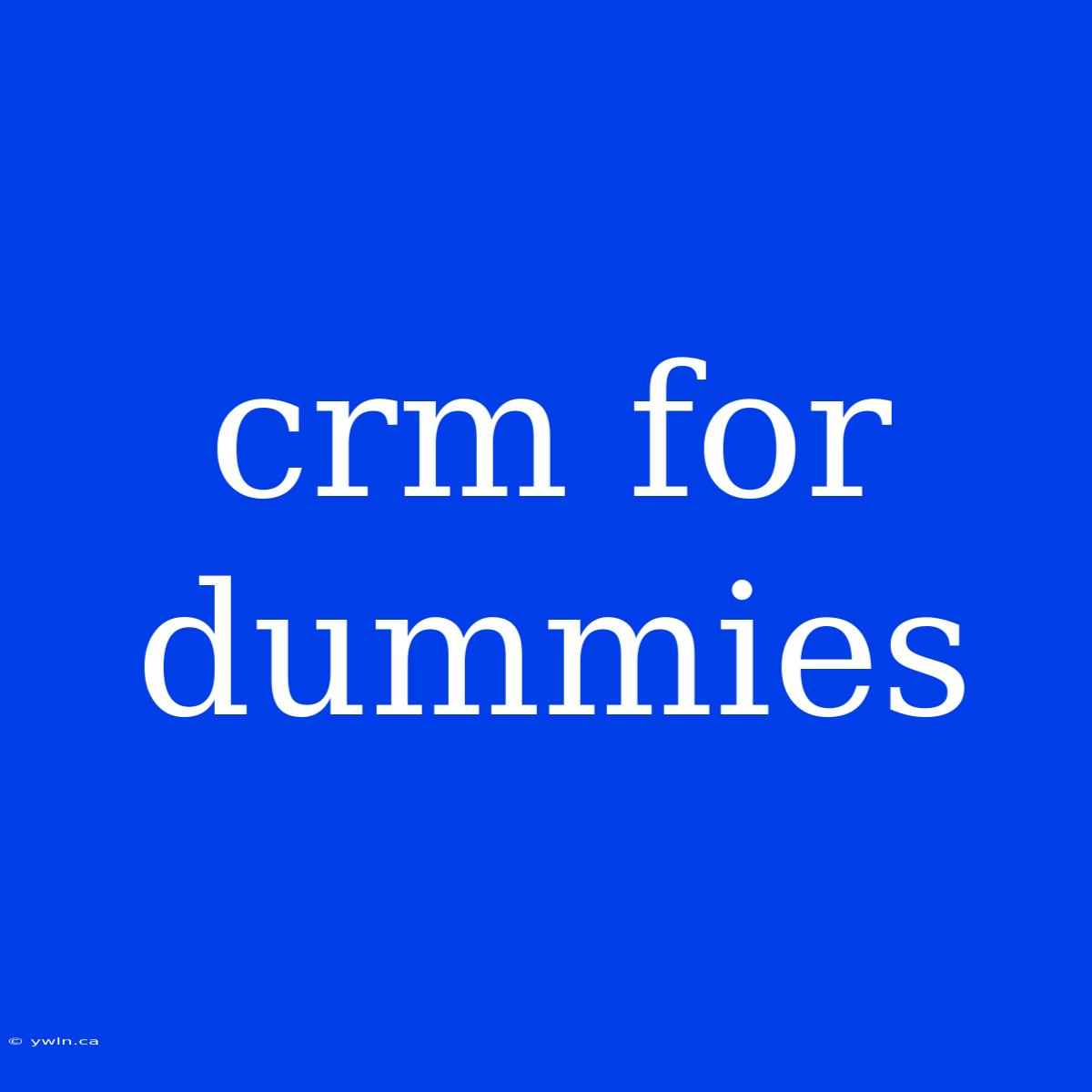 Crm For Dummies