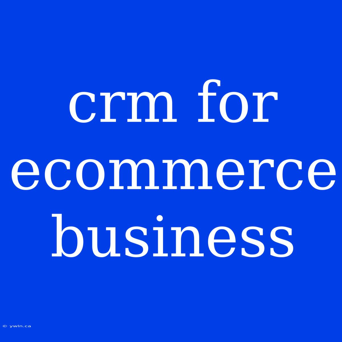 Crm For Ecommerce Business