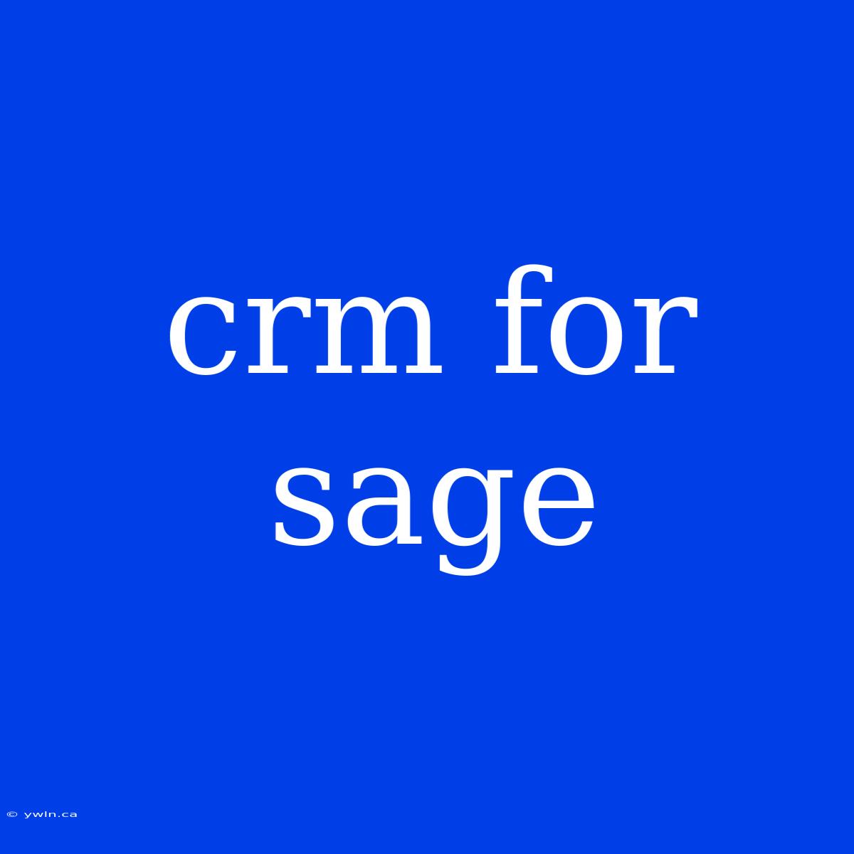 Crm For Sage