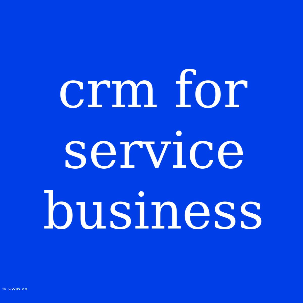 Crm For Service Business