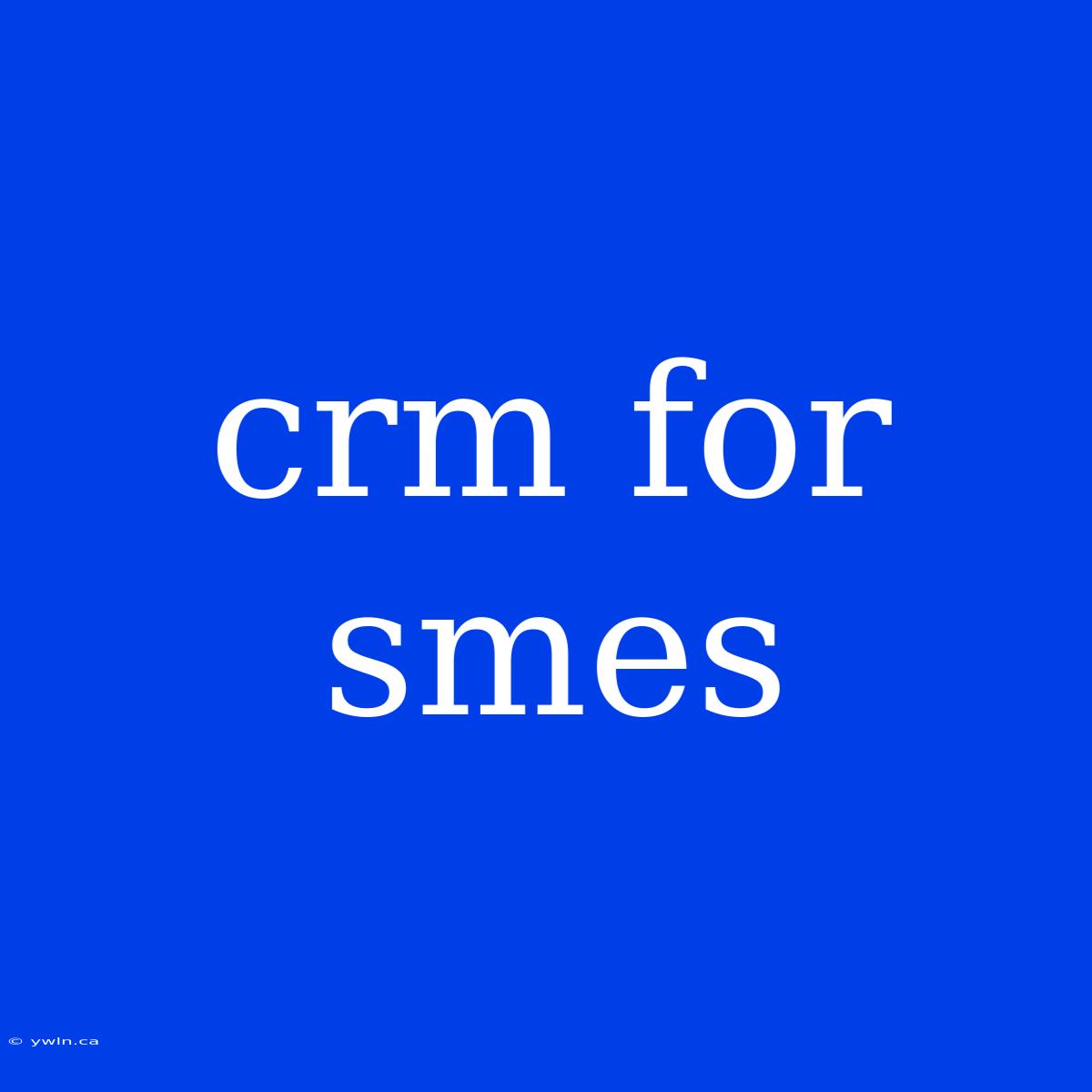 Crm For Smes