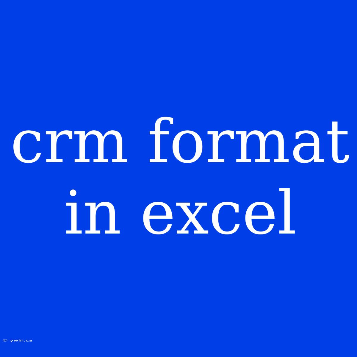 Crm Format In Excel