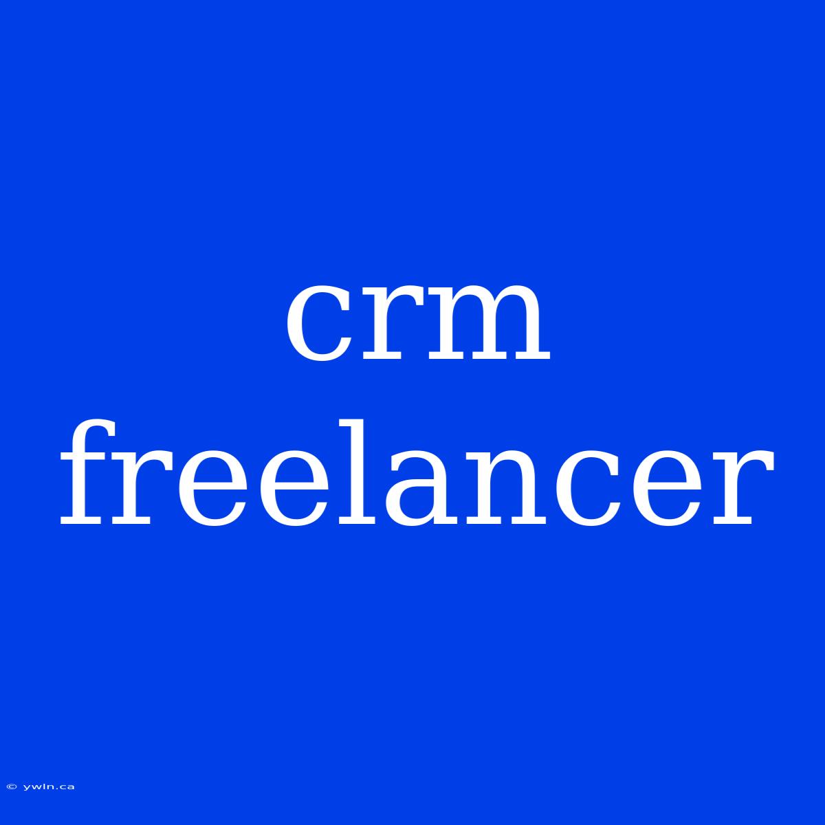 Crm Freelancer