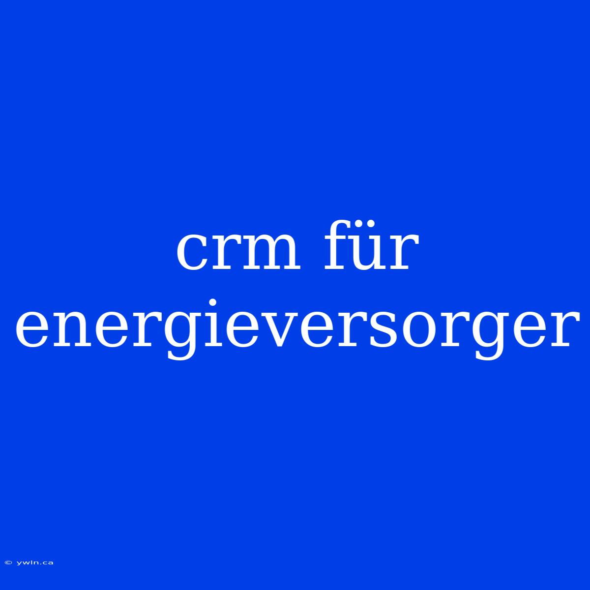 Crm Für Energieversorger