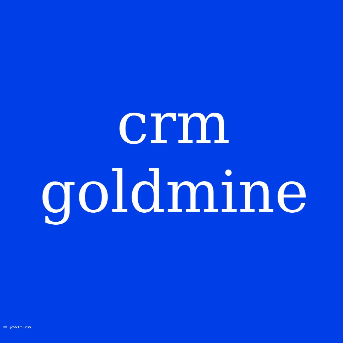 Crm Goldmine