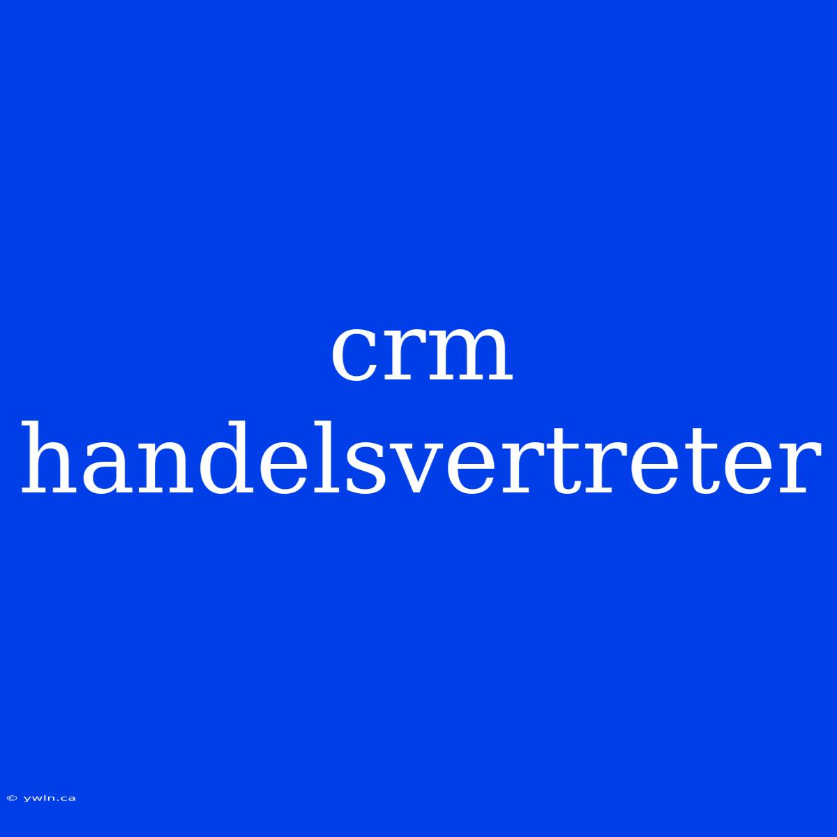 Crm Handelsvertreter