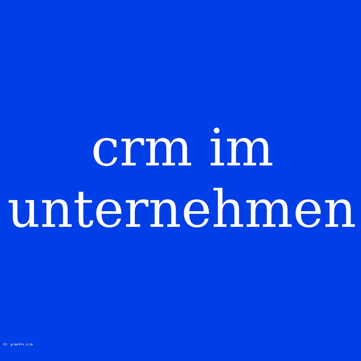 Crm Im Unternehmen