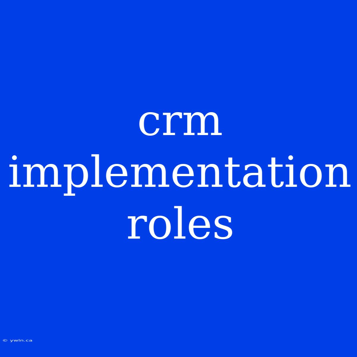 Crm Implementation Roles