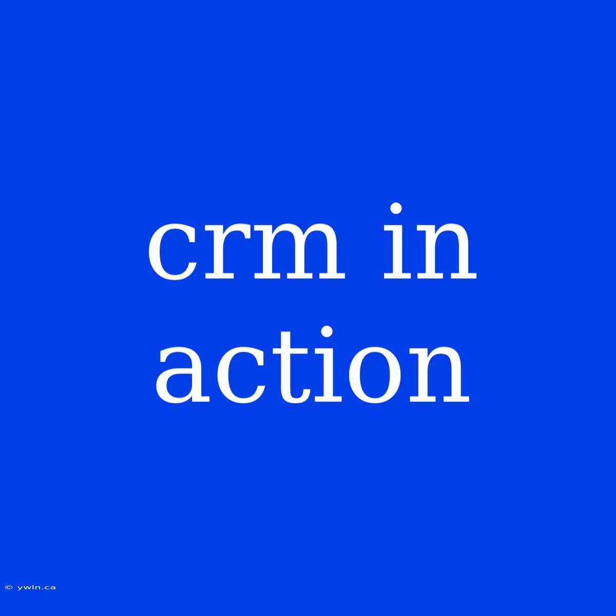 Crm In Action