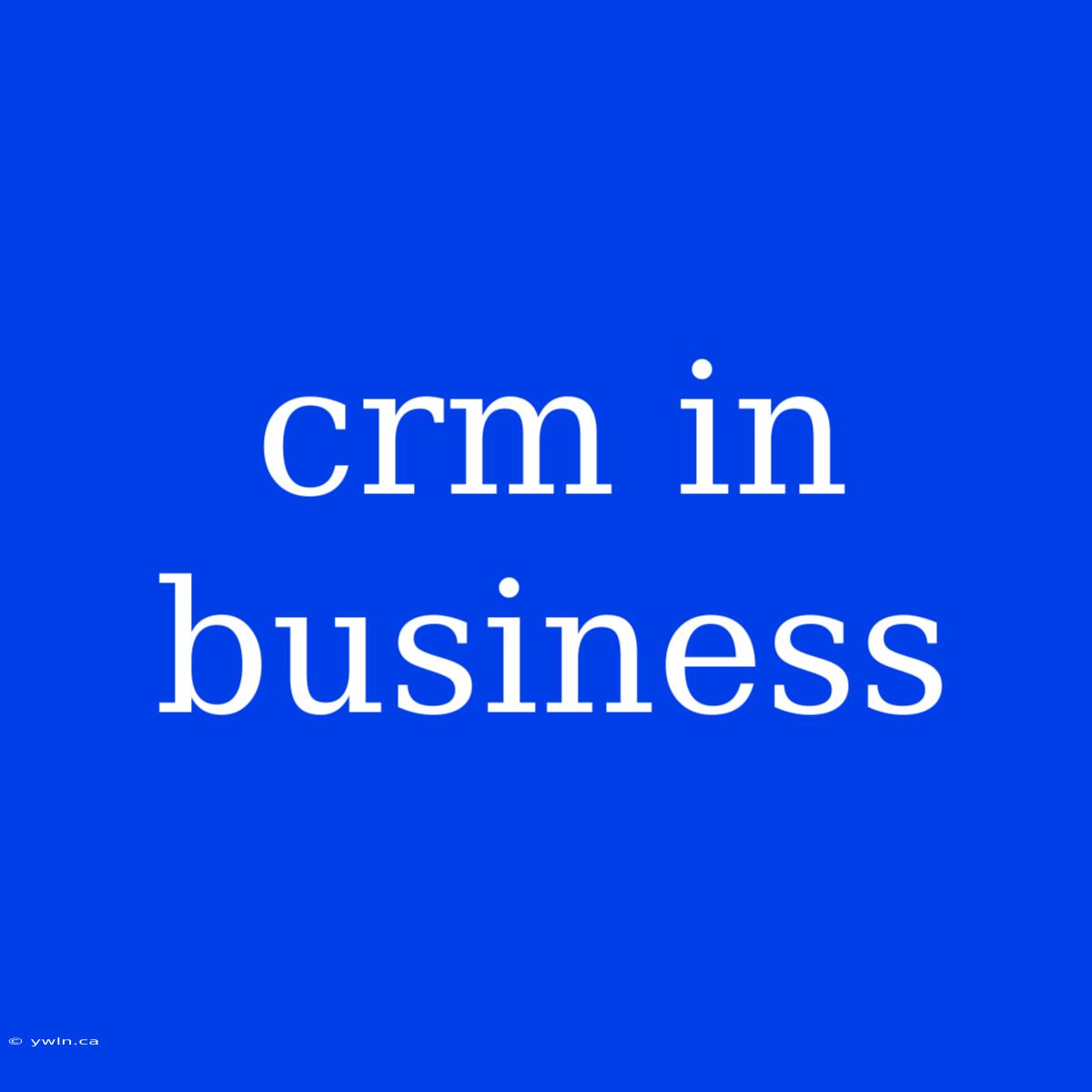 Crm In Business