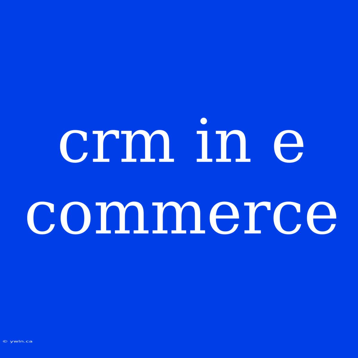 Crm In E Commerce