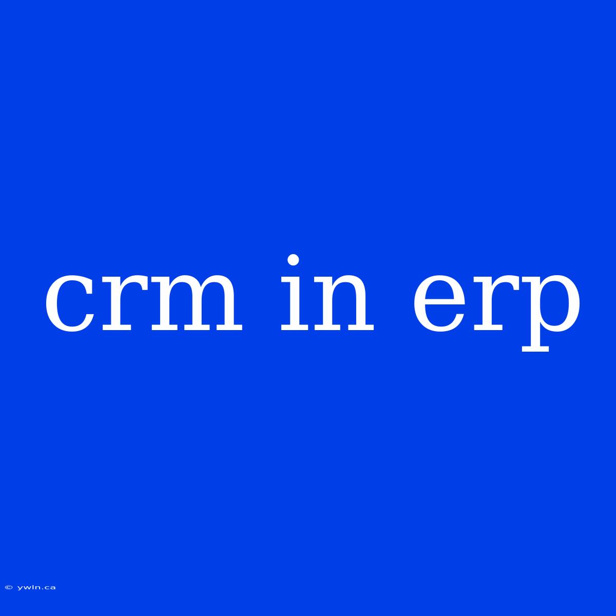 Crm In Erp