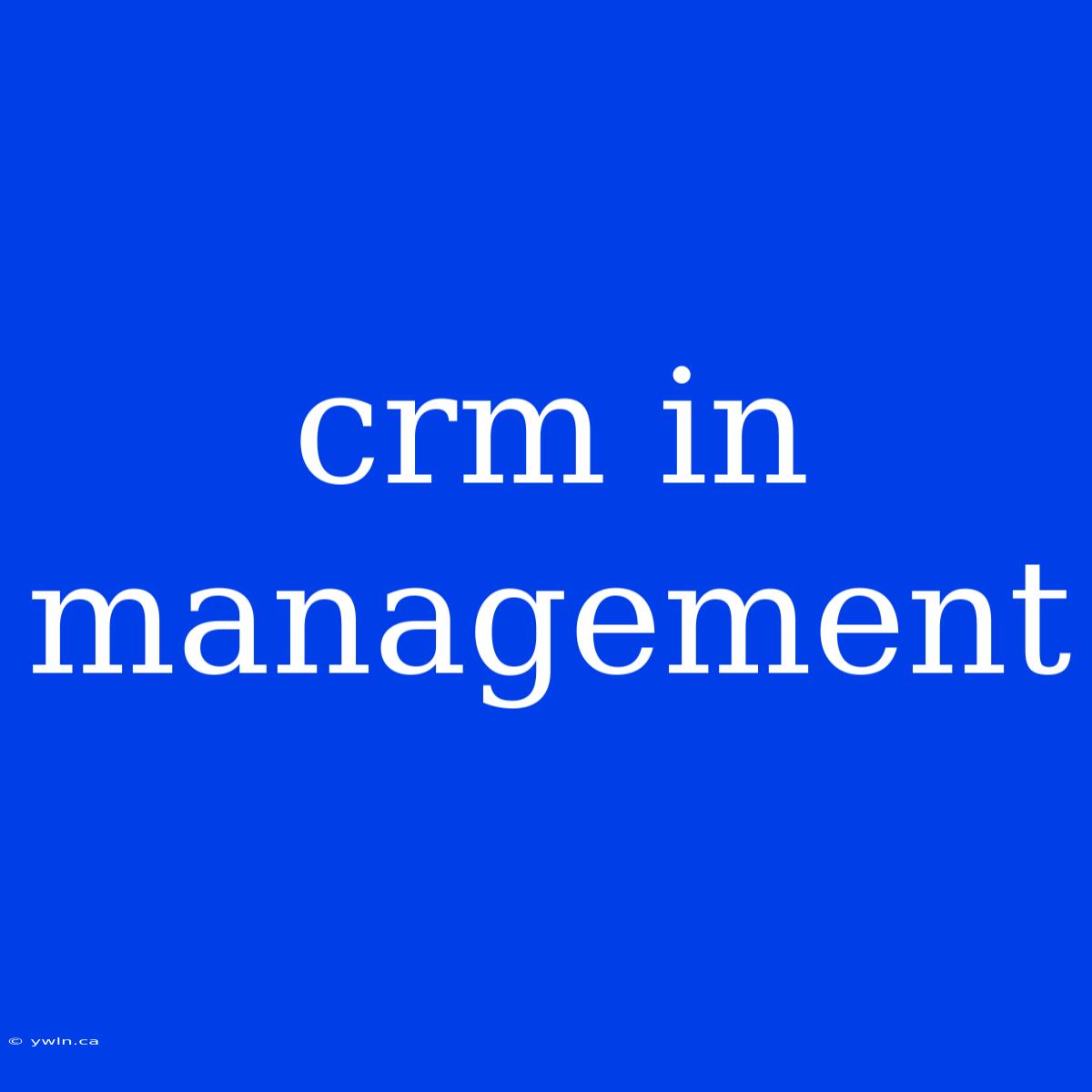 Crm In Management