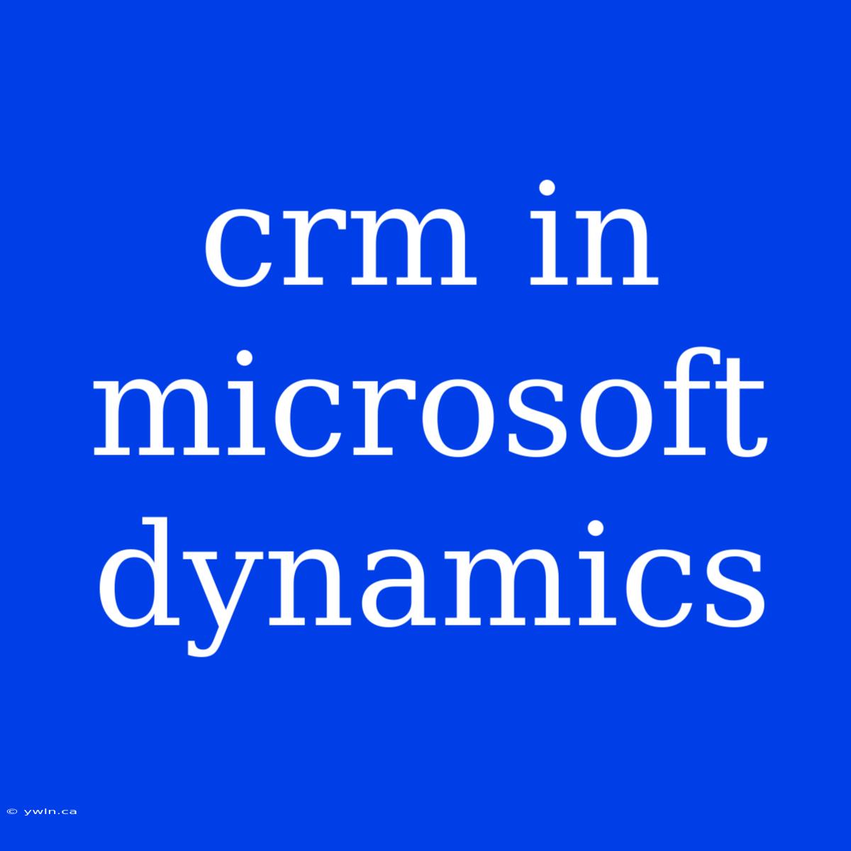 Crm In Microsoft Dynamics