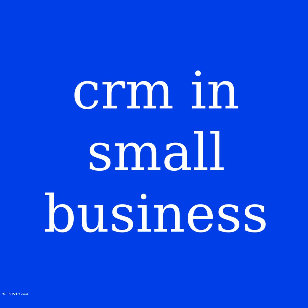 Crm In Small Business