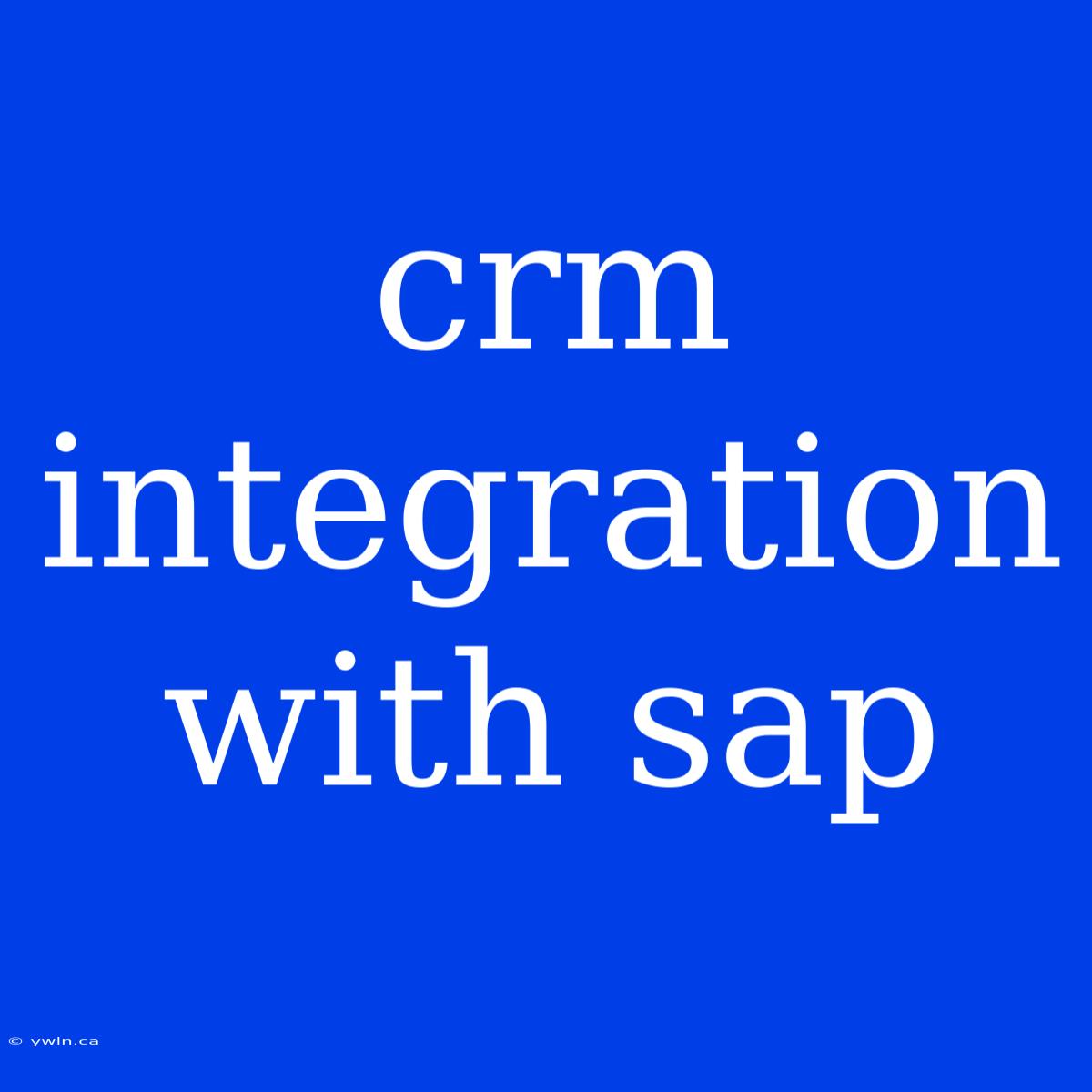 Crm Integration With Sap