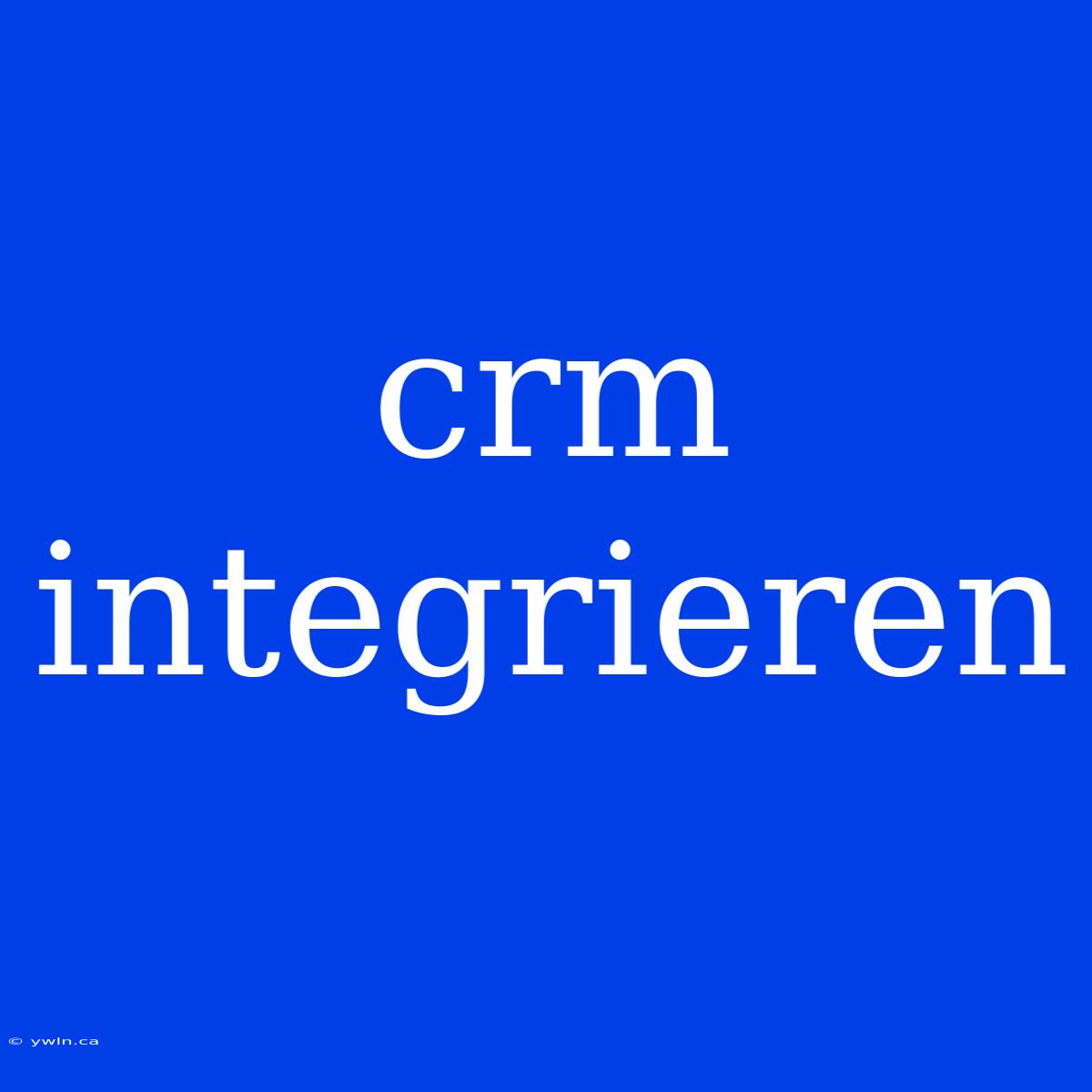 Crm Integrieren