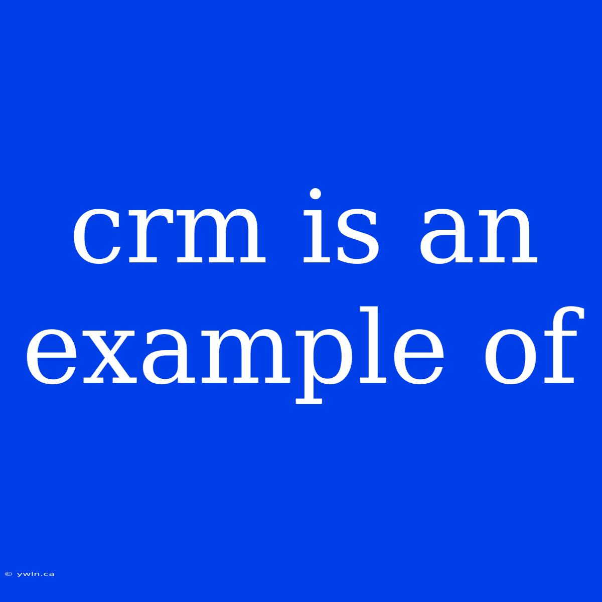 Crm Is An Example Of