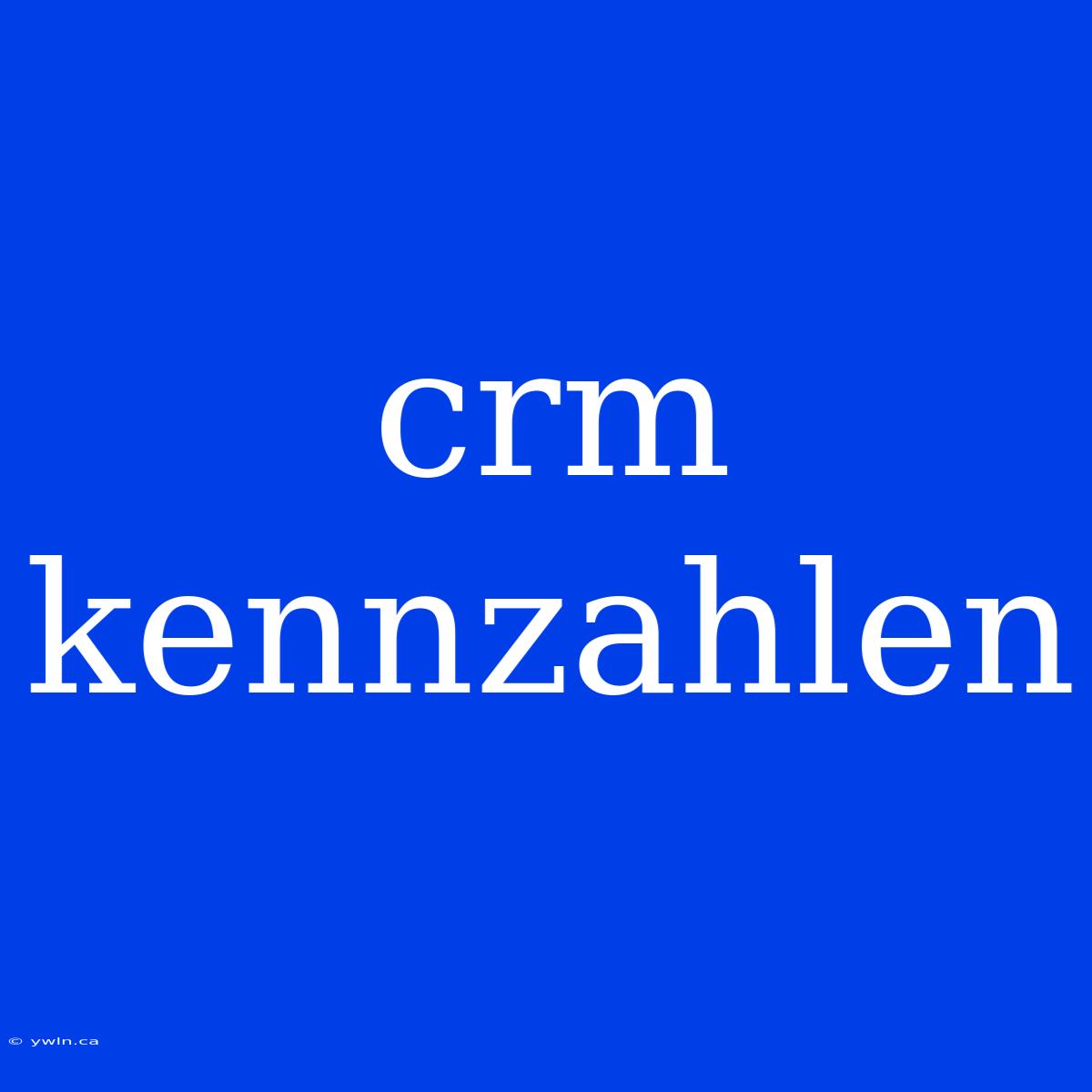 Crm Kennzahlen