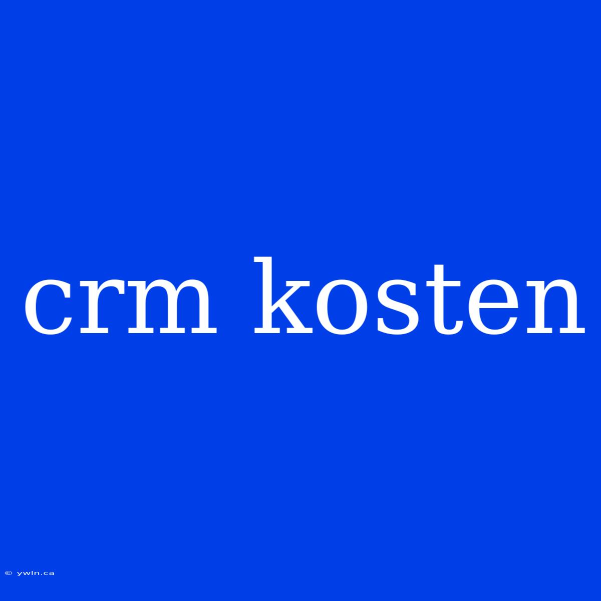 Crm Kosten