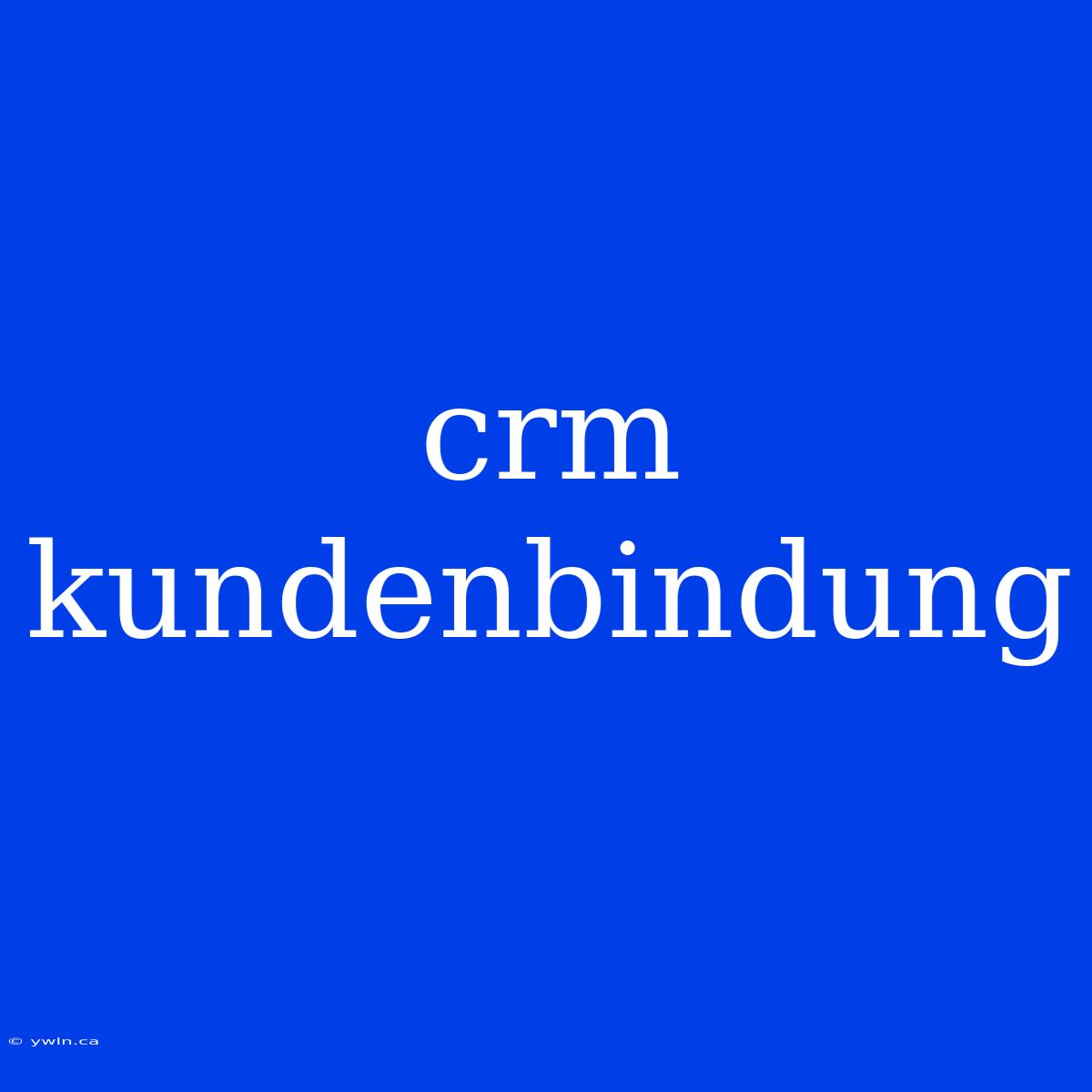 Crm Kundenbindung