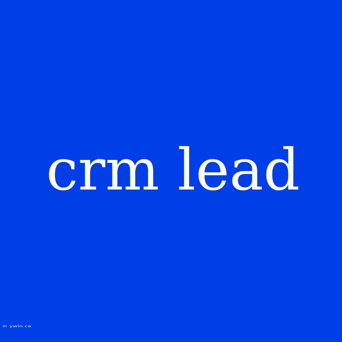 Crm Lead