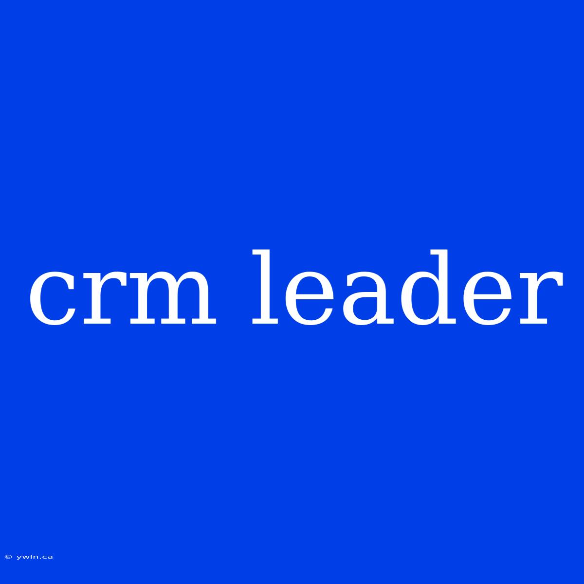 Crm Leader