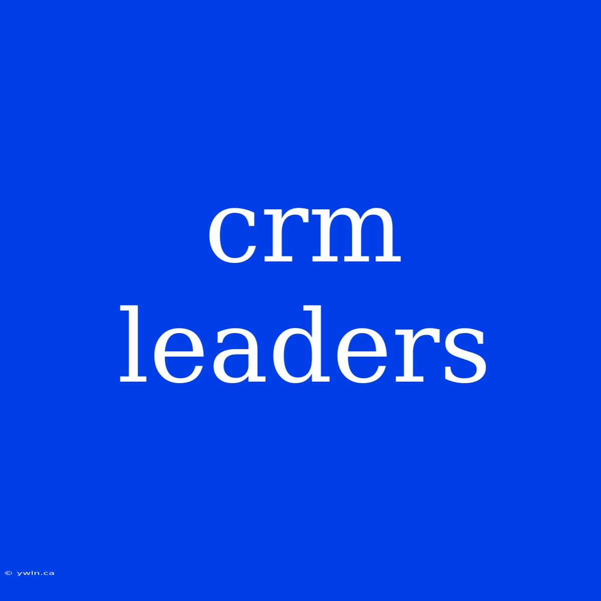 Crm Leaders