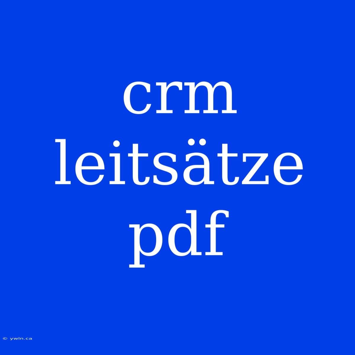 Crm Leitsätze Pdf