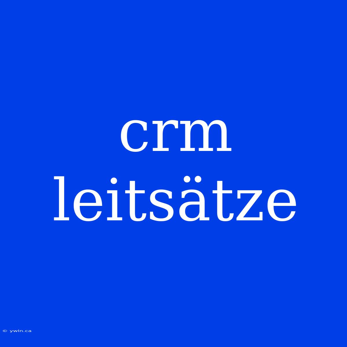 Crm Leitsätze