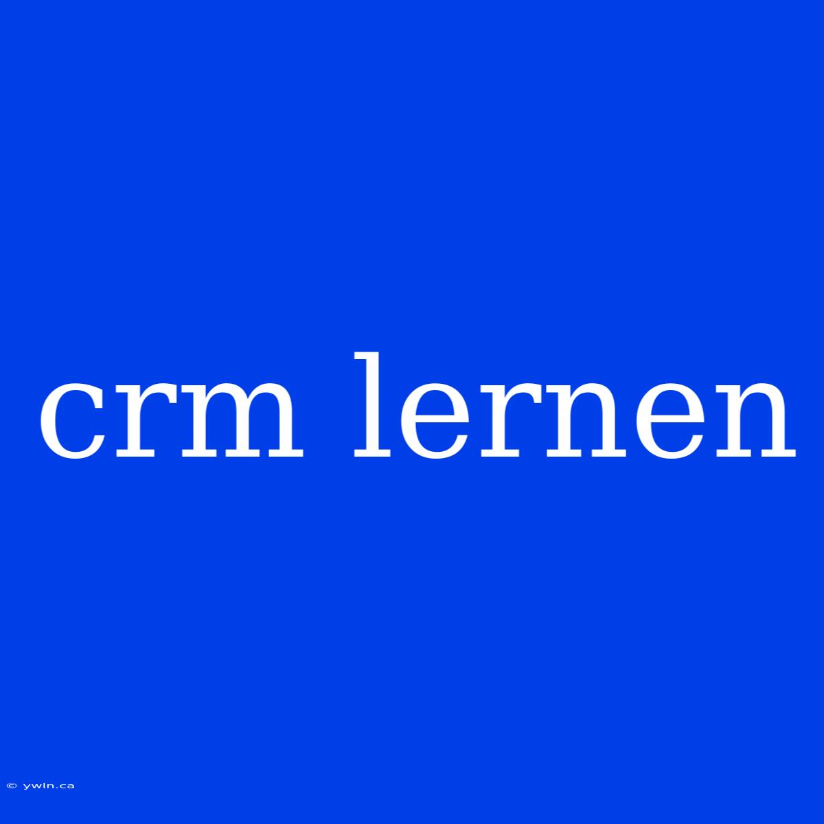 Crm Lernen