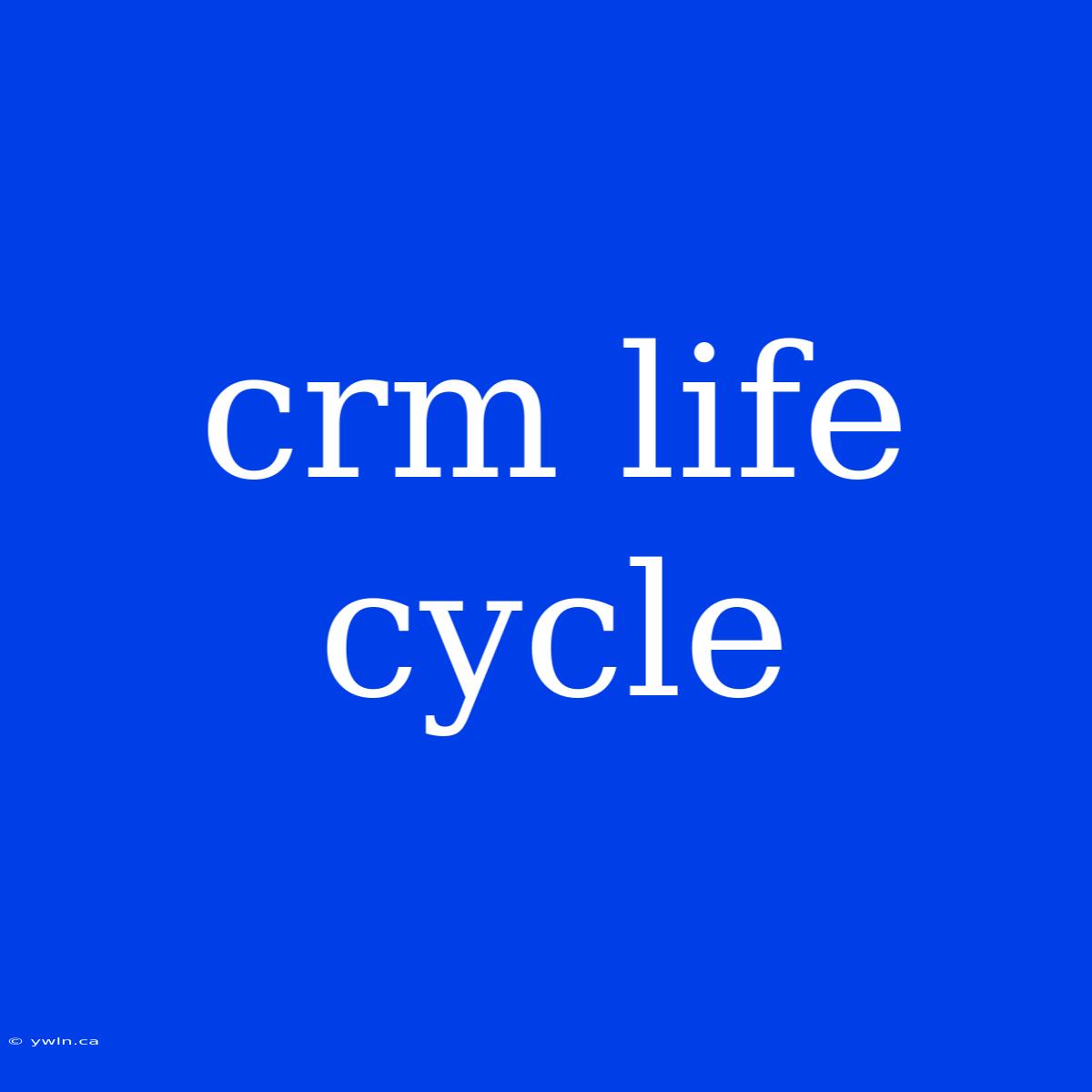 Crm Life Cycle