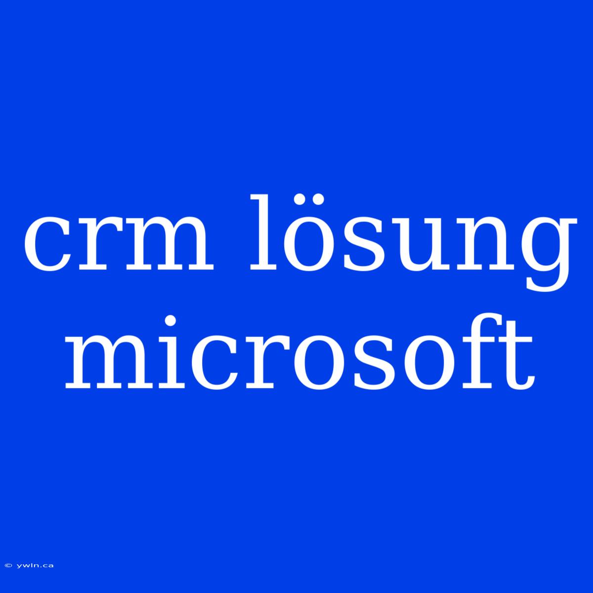 Crm Lösung Microsoft