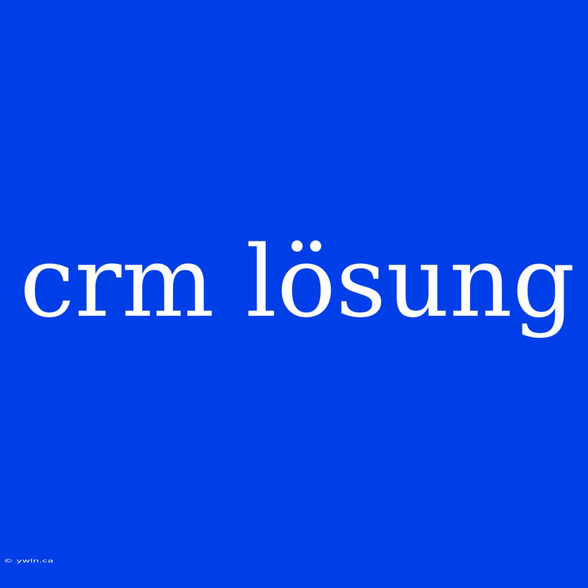 Crm Lösung