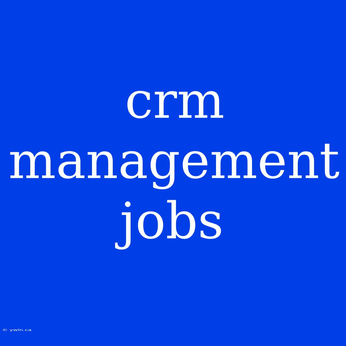 Crm Management Jobs