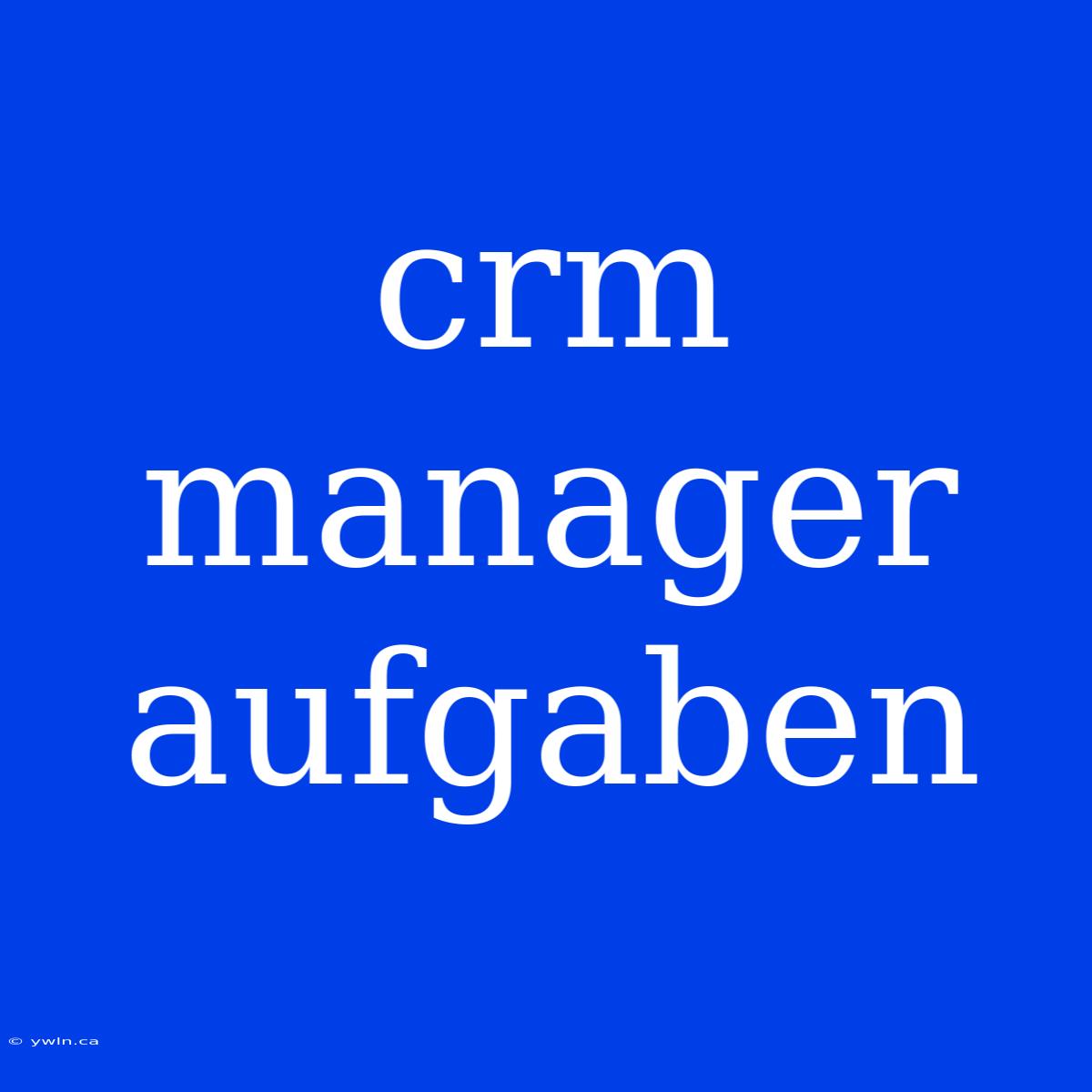 Crm Manager Aufgaben