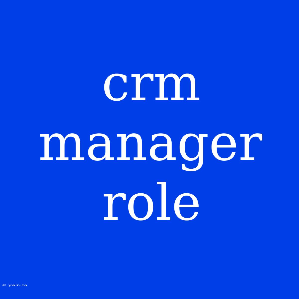 Crm Manager Role