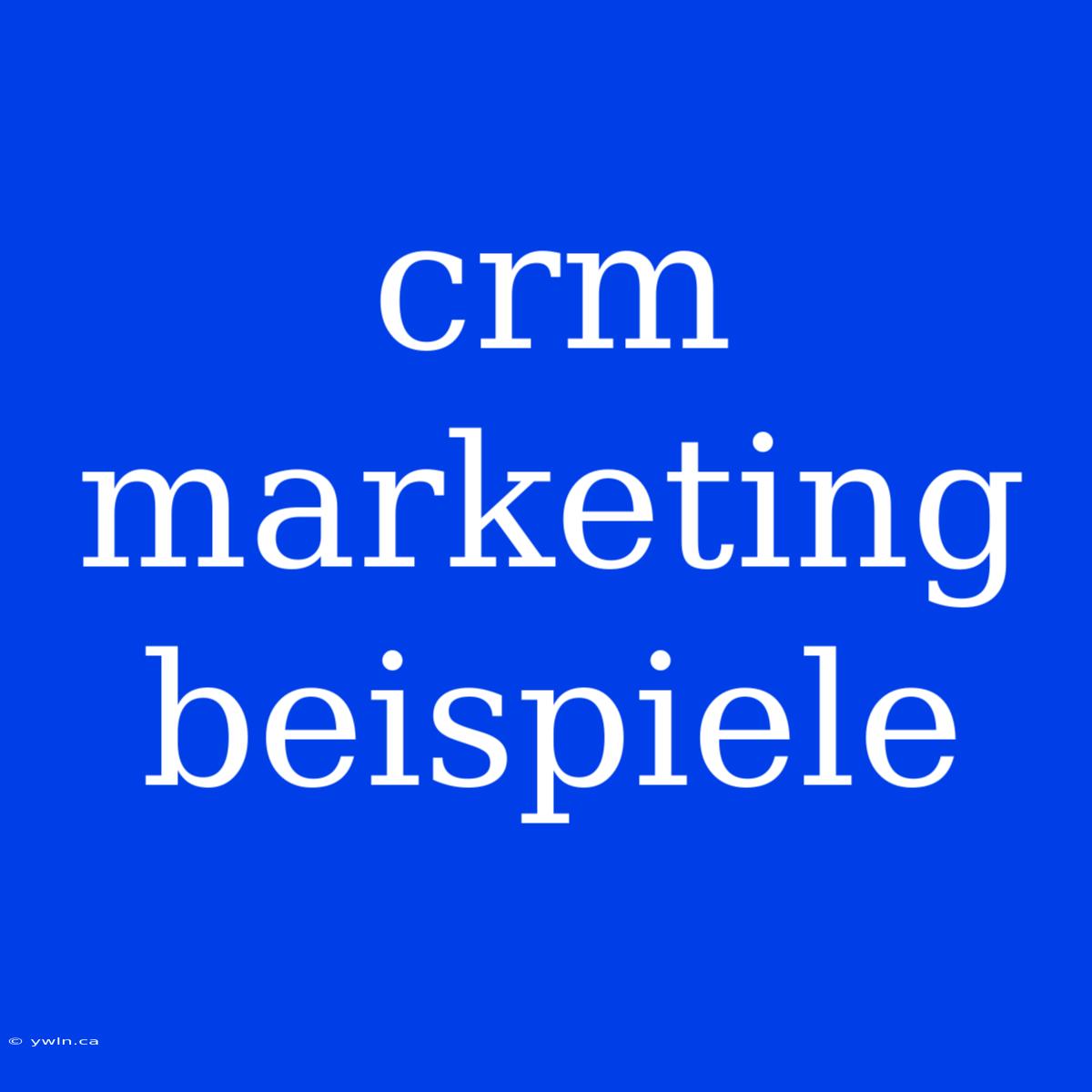 Crm Marketing Beispiele