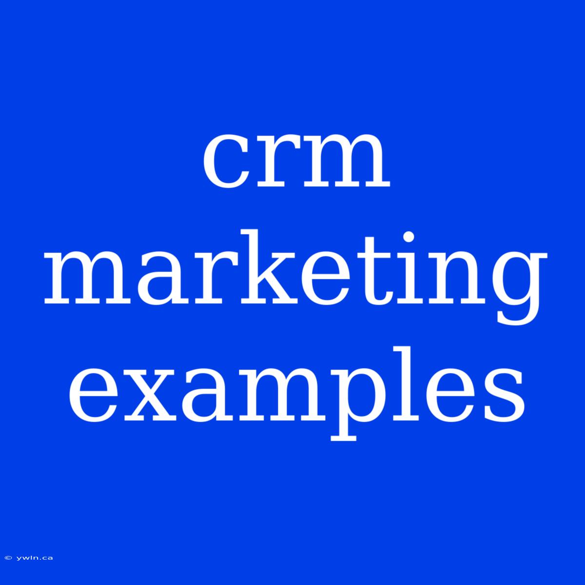 Crm Marketing Examples