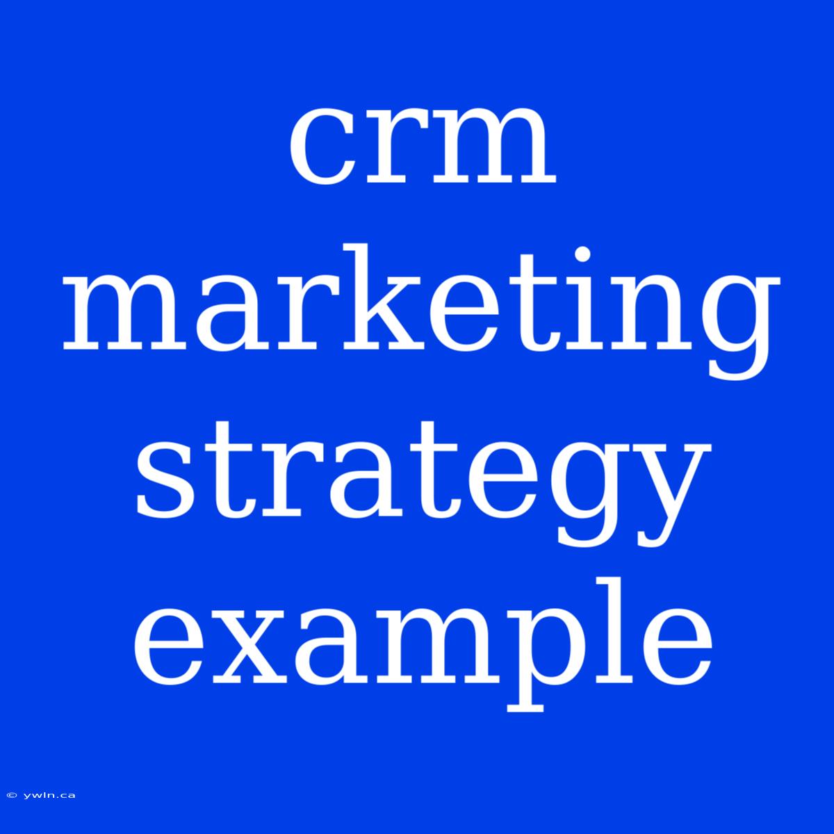 Crm Marketing Strategy Example