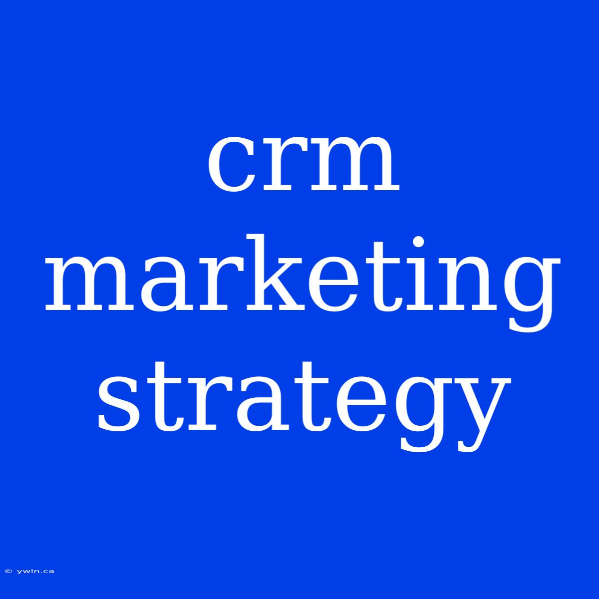 Crm Marketing Strategy